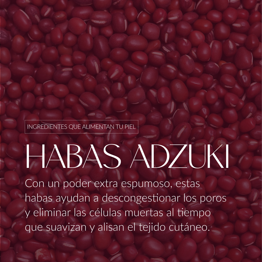 ADZUKI_RAGIFANTASY