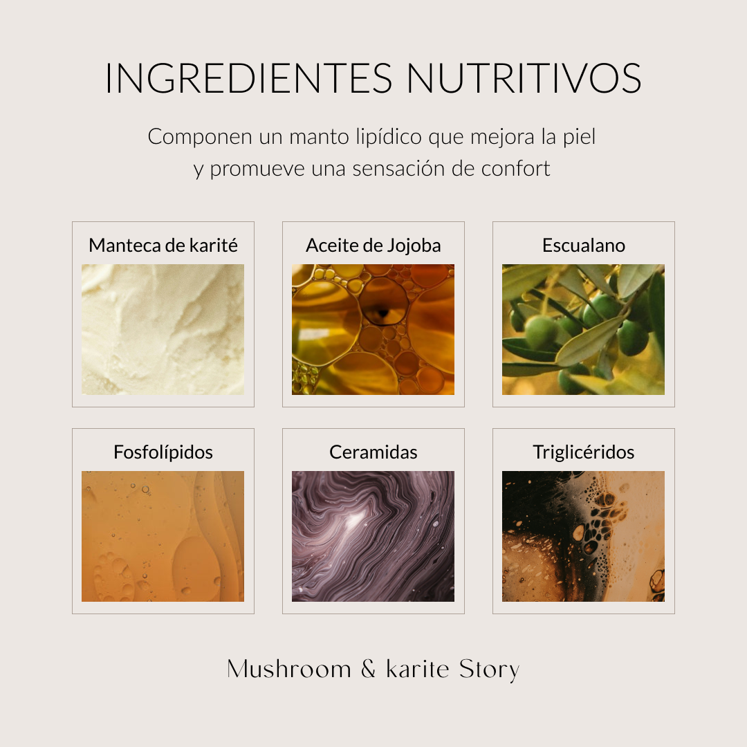 byoode ingredientes nutritivos