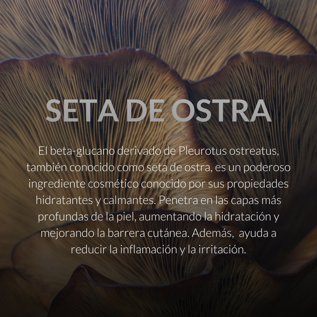 seta de ostra cosmetica byoode