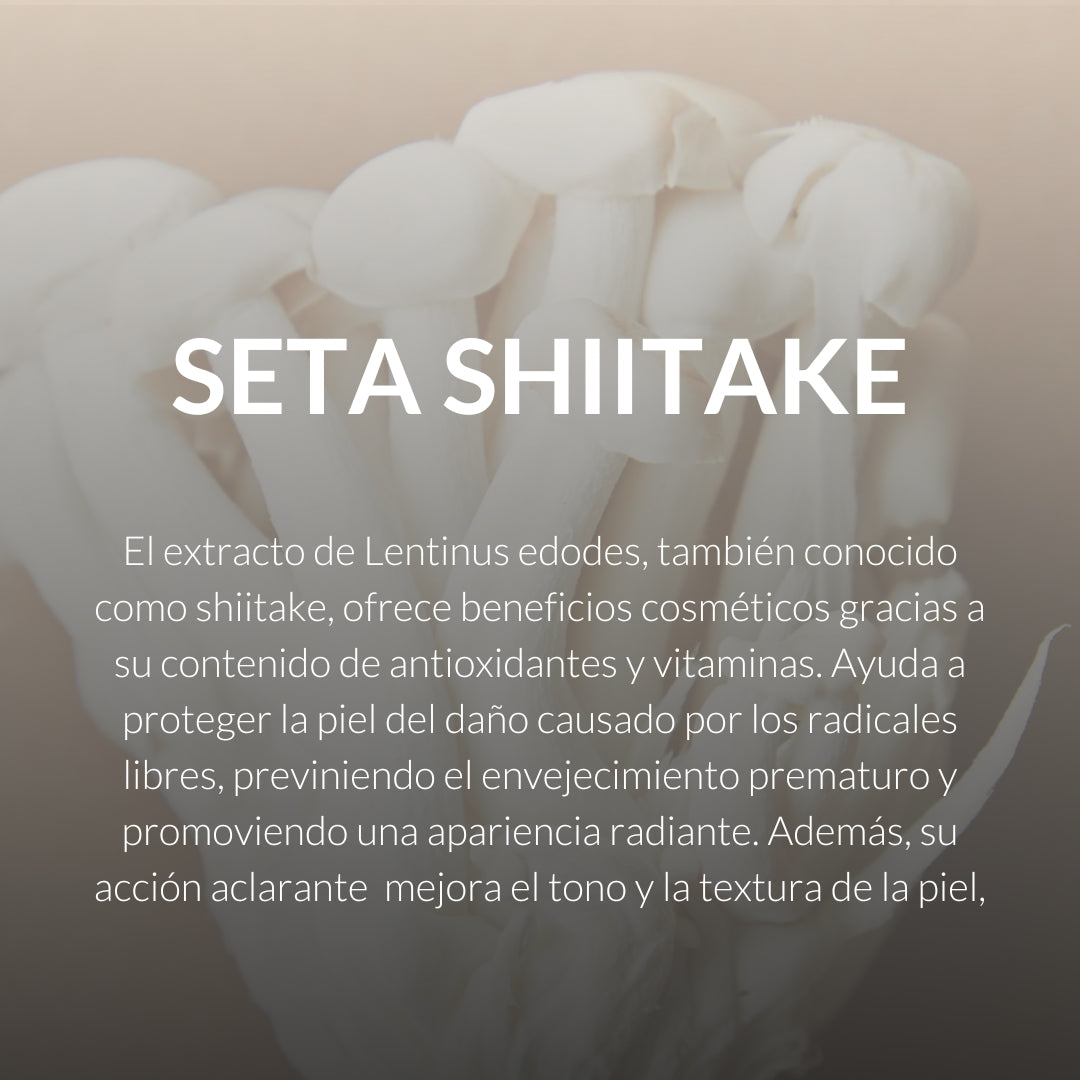 seta shiitake cosmetica byoode