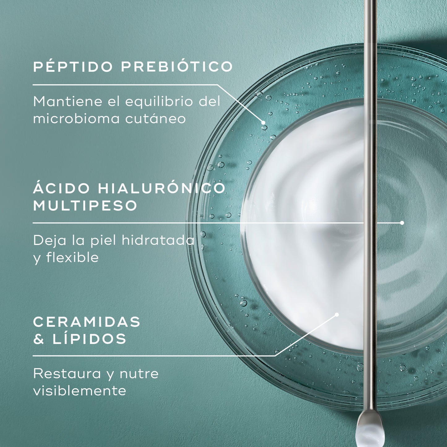 ingredientes Total Moisture Daily Facial Cream
