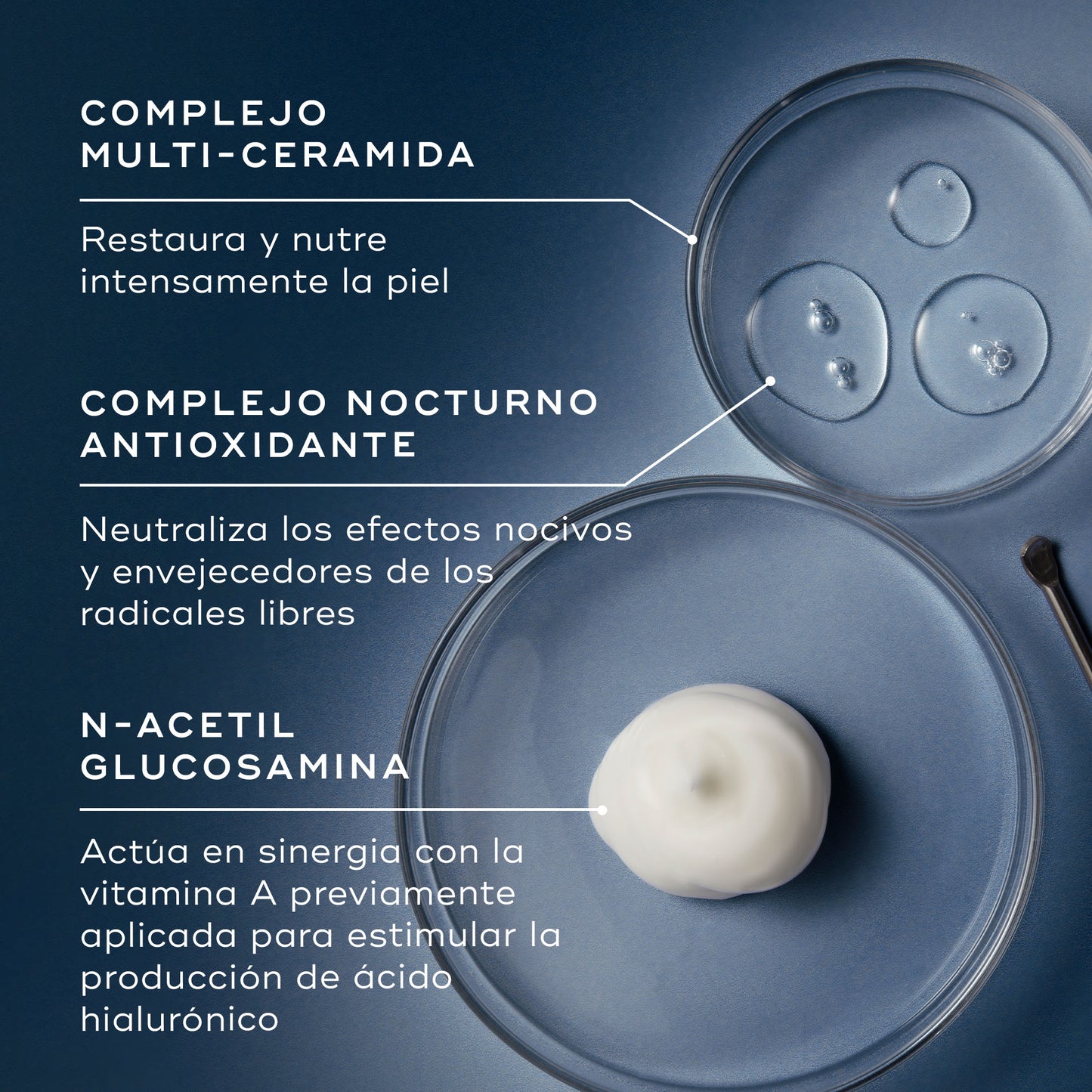 ingredientes Advanced Night Restore