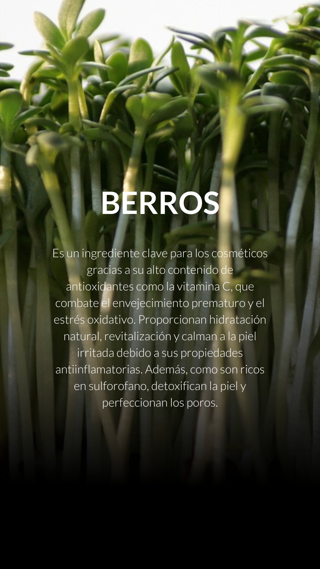 cosmetica natural berros