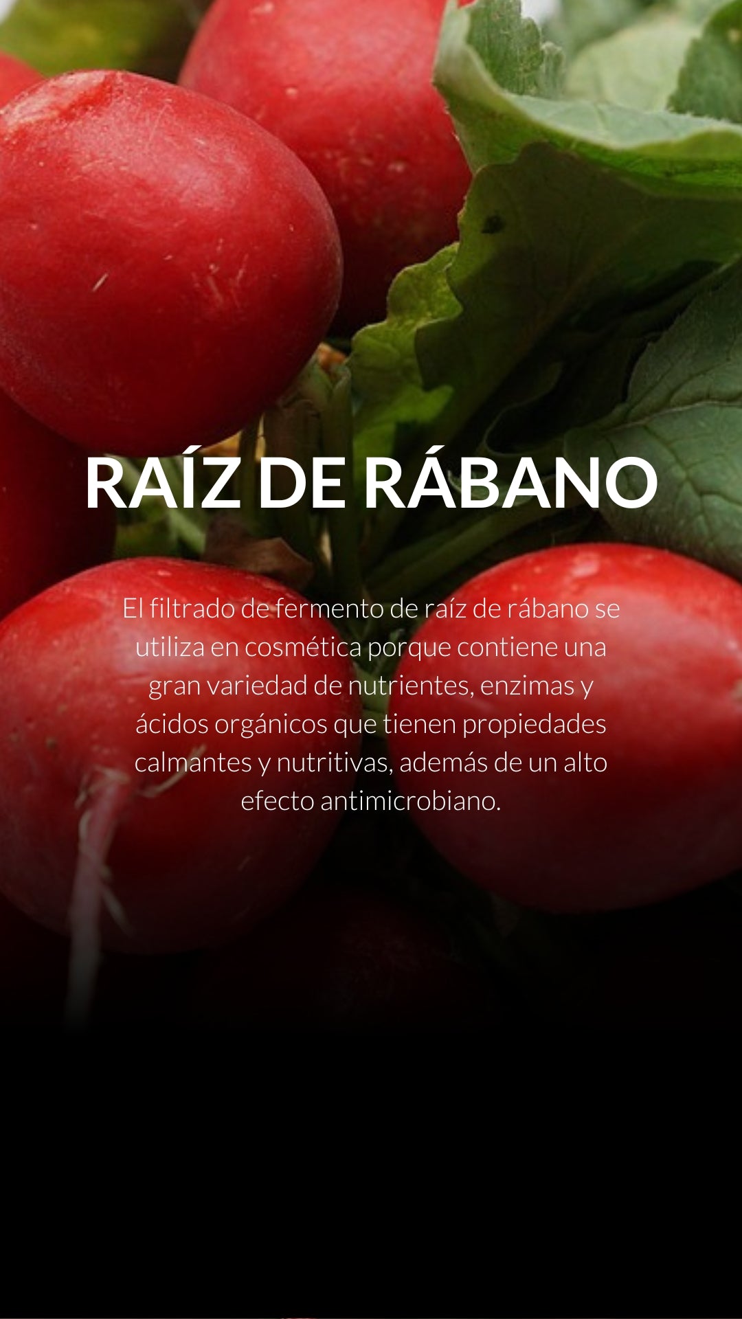raiz de rabano gel limpiador