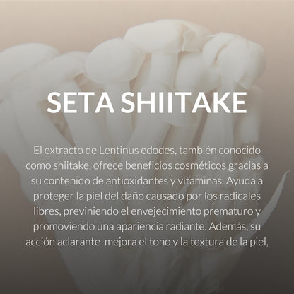 seta shiitake cosmetica byoode