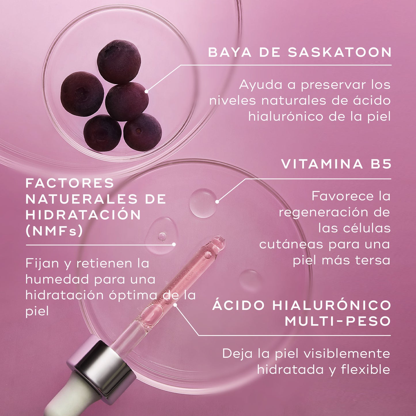 ingredientes Hydr8 B5 Intense