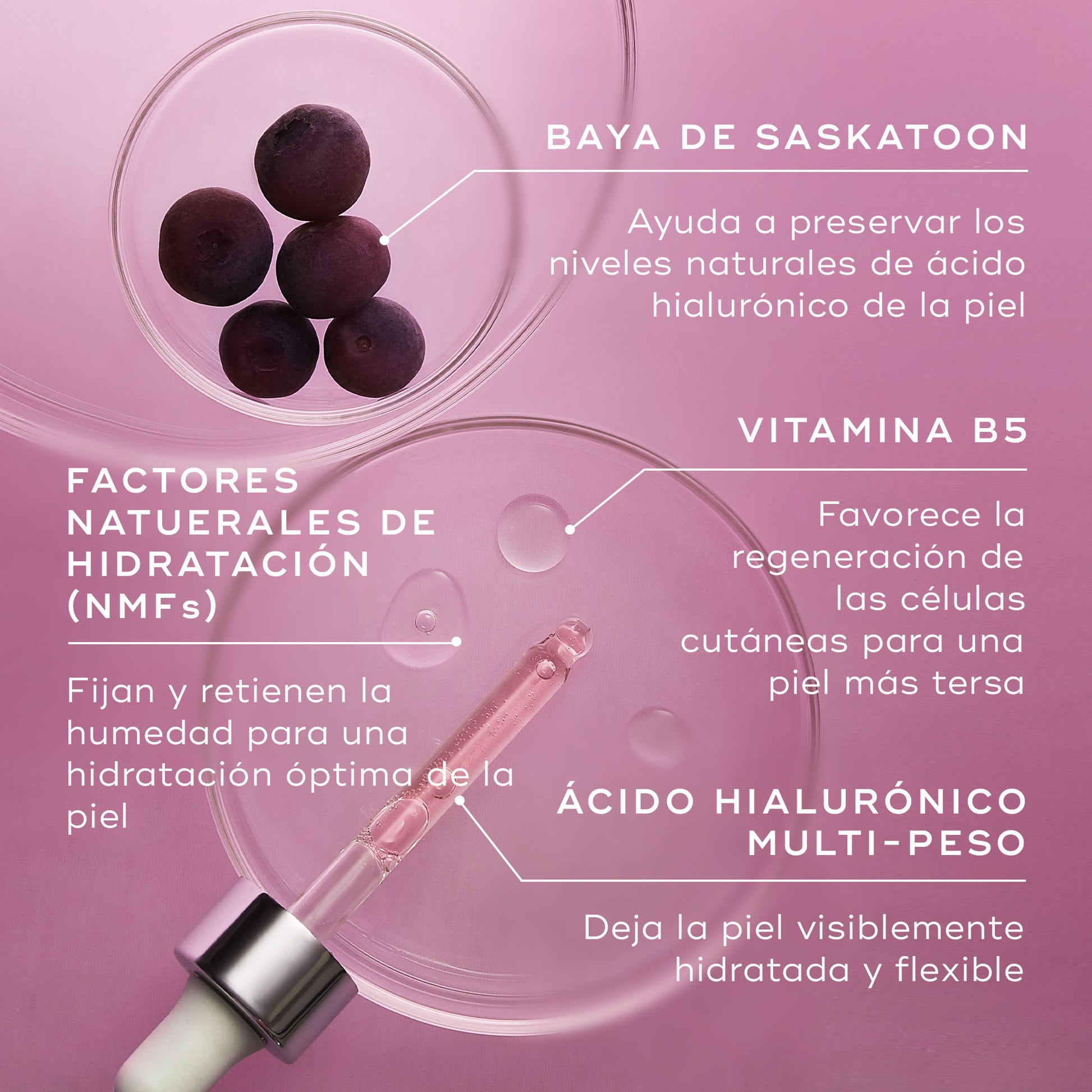 ingredientes Hydr8 B5 Intense