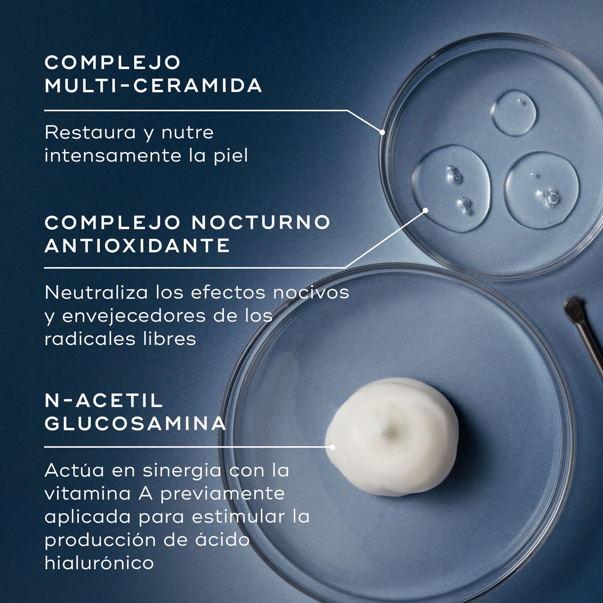ingredientes Advanced Night Restore