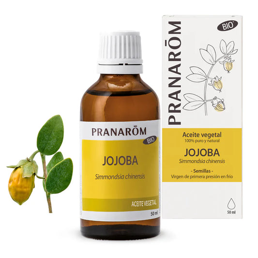 Aceite jojoba bio simmondsia chinensis