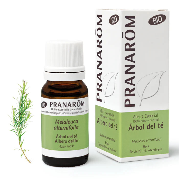 Pranarom Árbol del Té BIO