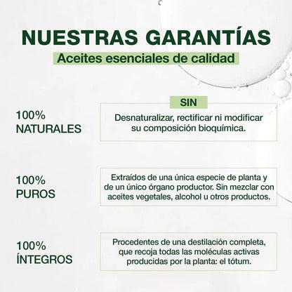 resultados Árbol del Té BIO