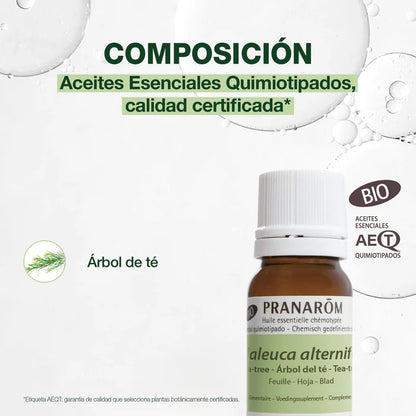 composición Árbol del Té BIO