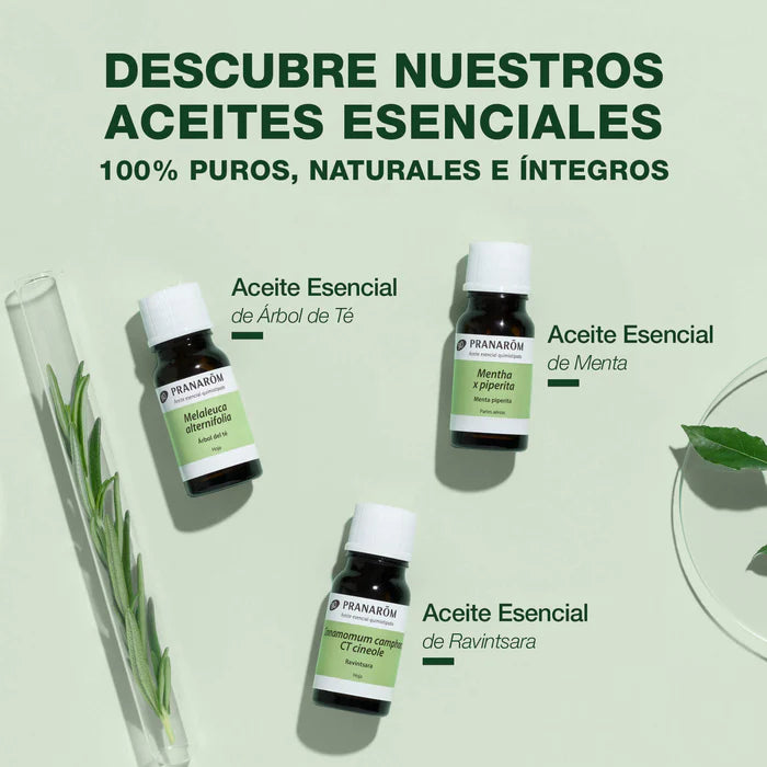 aceites esenciales Árbol del Té BIO