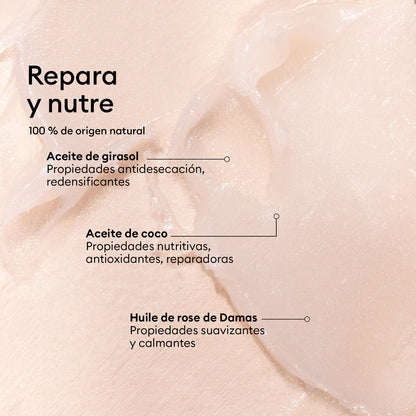 repara y nutre 